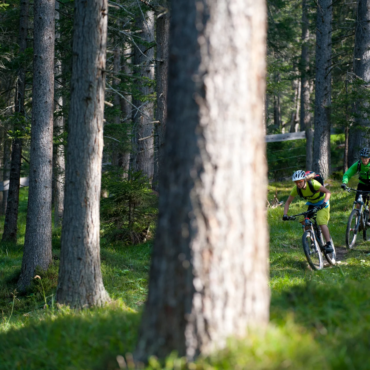 Lenzerheide Albula By Bike World Bike Kingdom