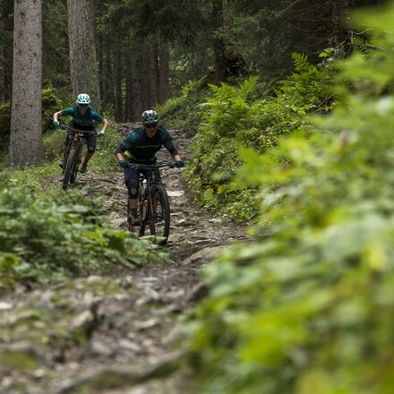 bike-kingdom-wald-follow.jpg